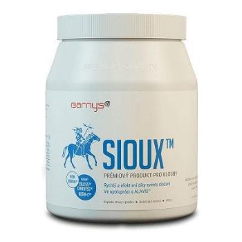 Barny`s Sioux MSM Super Forte 600 g