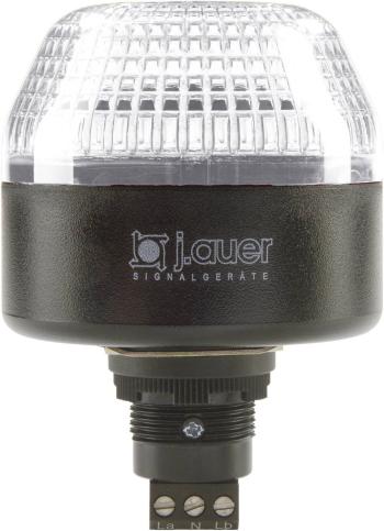 Auer Signalgeräte signalizačné osvetlenie LED IBL 802504405 číra  trvalé svetlo, blikajúce 24 V/DC, 24 V/AC
