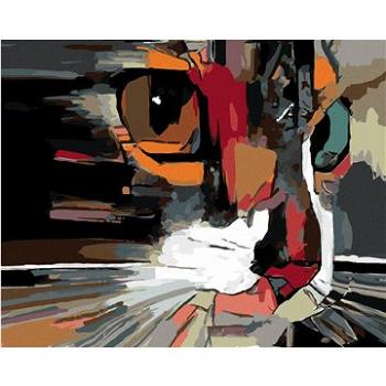 Maľovanie podľa čísel – Abstraktná mačka (HRAmal01120nad)