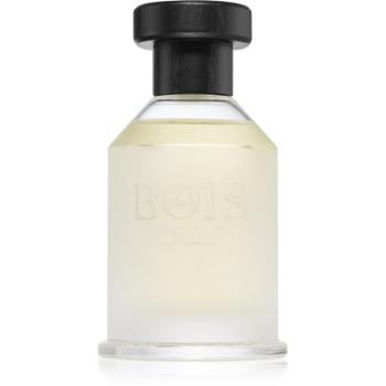 Bois 1920 Classic 1920 parfumovaná voda unisex 100 ml