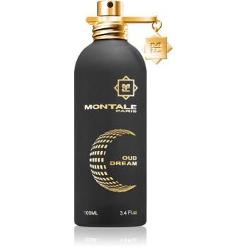 Montale Oud Dream parfumovaná voda unisex 100 ml