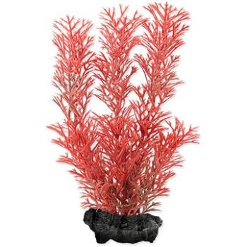 Tetra Rastlina Foxtail Red S 15 cm (4004218270268)
