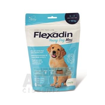 Flexadin Young Dog Maxi