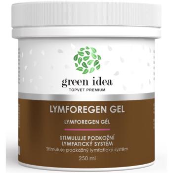 Green Idea Lymforegen masážny gél urýchľujúci regeneráciu po zvýšenej fyzickej záťaži 250 ml