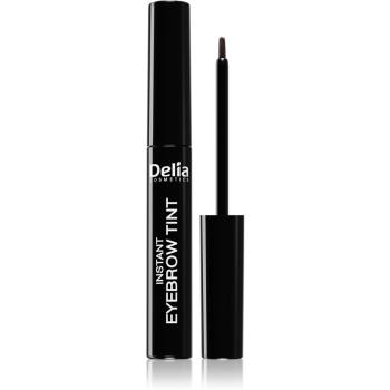 Delia Cosmetics Eyebrow Expert farba na obočie odtieň 4.0 BROWN 6 ml