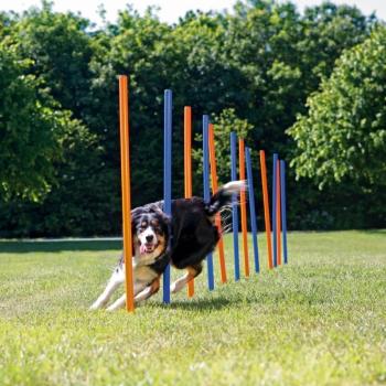 Agility Slalom, Tyče 12ks