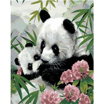 Maľovanie podľa čísel - Panda s mláďaťom a ružové kvety (Howard Robinson) (HRAbz33473nad)