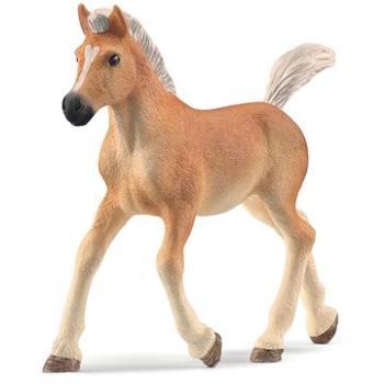 Schleich Haflingerské žriebä (4059433557519)