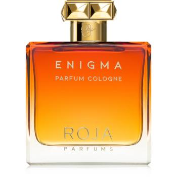 Roja Parfums Enigma Parfum Cologne kolínska voda pre mužov 100 ml