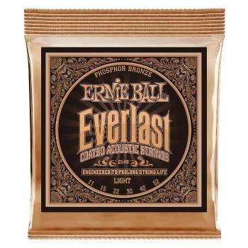 Ernie Ball 2548 Everlast
