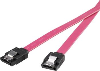 Renkforce pevný disk prepojovací kábel [1x SATA zásuvka 7-pólová - 1x SATA zásuvka 7-pólová] 0.50 cm červená