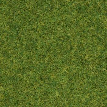 NOCH 08314 posypová tráva okrasná tráva trávniková zelená