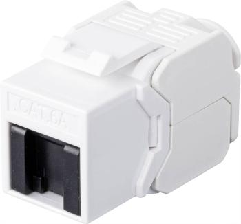 Renkforce  zabudovaný modul RJ45 Keystone CAT 6A