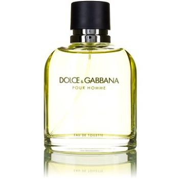 DOLCE & GABBANA Pour Homme EdT 125 ml (0737052074450)