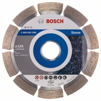 Bosch Accessories 2608602598  diamantový rezný kotúč Priemer 125 mm Vnútorný Ø 22.23 mm  1 ks