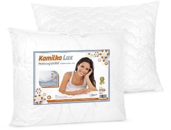 Vankúš Kamilka LUX 5700/0600 50x70, 600g so zipsom vo vlast. obale