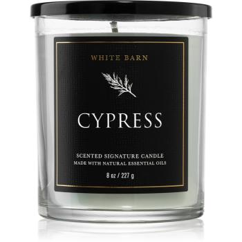 Bath & Body Works Cypress vonná sviečka 227 g