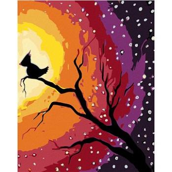 Maľovanie podľa čísel – Vtáčik na vetve a nočná obloha (HRAmal00689nad)