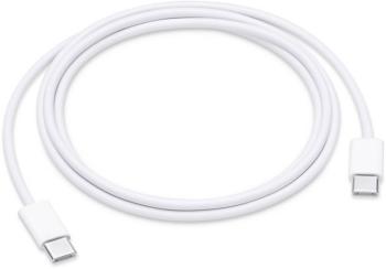 Apple Apple iPad / iPhone / iPod prepojovací kábel  1.00 m biela
