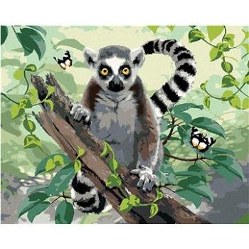 Maľovanie podľa čísel - Lemur a motýle (Howard Robinson) (HRAbz33479nad)