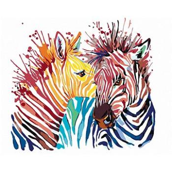 Maľovanie podľa čísel – Farebné zebry (HRAmal00853nad)