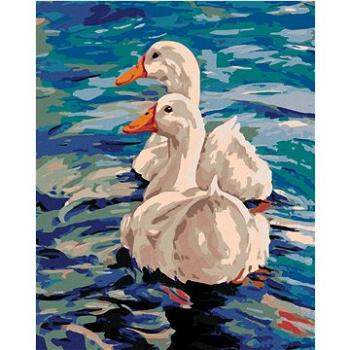 Maľovanie podľa čísel – Dve kačice na vode (HRAmal00139nad)