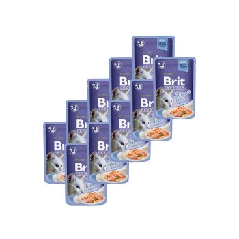 BRIT PREMIUM CAT KAPSICKA DELICATE FILLETS IN JELLY WITH SALMON 10KS X 85G