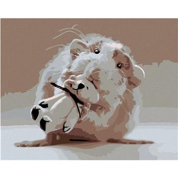 Maľovanie podľa čísel – Myška s bielym medvedíkom (HRAmal00599nad)