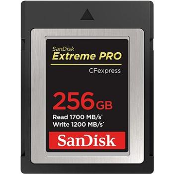 Sandisk Compact Flash Extreme PRO CF expres 256GB, Type B (SDCFE-256G-GN4NN)