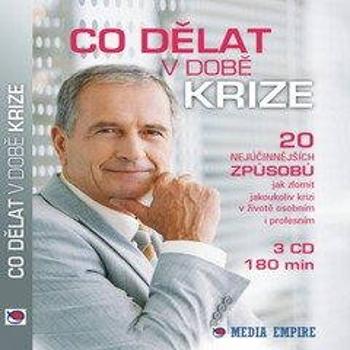 Co dělat v době krize