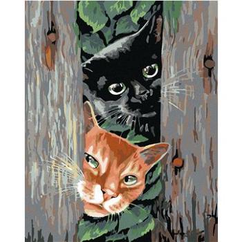 Maľovanie podľa čísel – Číhajúce mačky (HRAmal00106nad)