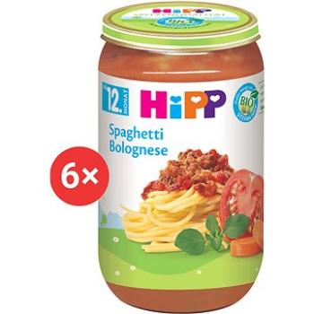 HiPP BIO Bolonské špagety - 6x 250g (4062300262522)