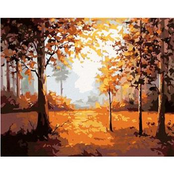 Maľovanie podľa čísel – Jesenný les (HRAmal00363nad)