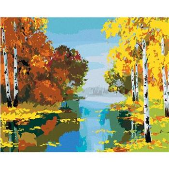 Maľovanie podľa čísel - Les s brezami pri rieke (HRAbz33285nad)