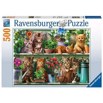 Ravensburger 148240 Mačky na knižnici (4005556148240)