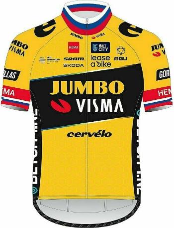 AGU Jumbo-Visma SS Jersey Replica Men Primoz Roglic S