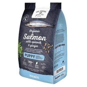 Go Native Puppy Salmon with Spinach and Ginger 4 kg (5390119012014)