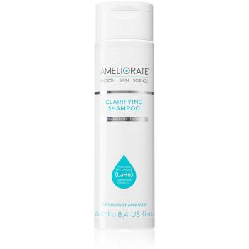Ameliorate Clarifying Shampoo hĺbkovo čistiaci šampón pre suchú pokožku hlavy so sklonom k svrbeniu 250 ml