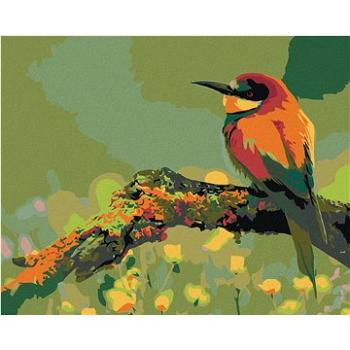 Maľovanie podľa čísel – Malý farebný vtáčik so špicatým zobákom (HRAmal00861nad)
