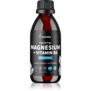 Blendea Magnesium koncentrát na podporu zníženia únavy a vyčerpania, pre normálny stav zubov, kostí a svalov 250 ml