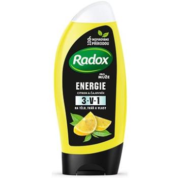 Radox Energie sprchovací gél pre mužov 250 ml (8710522406632)
