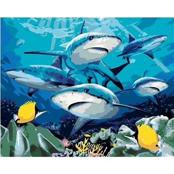 Maľovanie podľa čísel – Žraloky a koralový útes (Howard Robinson) (HRAbz33476nad)