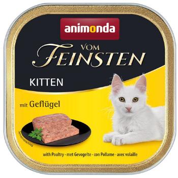 Animonda Vom Feinsten cat Kitten hydina 16x100g