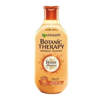 GARNIER Botanic Therapy Honey 250 ml (3600542094450)