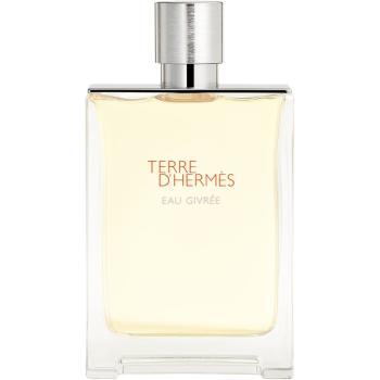 HERMÈS Terre d’Hermès Eau Givrée parfumovaná voda pre mužov 175 ml