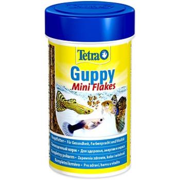 Tetra Guppy Food 100 ml (4004218129047)