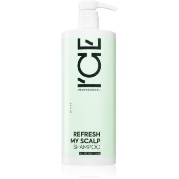 Natura Siberica ICE Professional Refresh My Scalp čiastiaci detoxikačný šampón 1000 ml