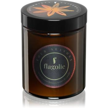 Flagolie Four Seasons Anise & Mint vonná sviečka 120 g