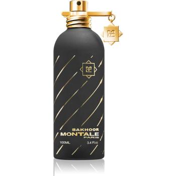 Montale Bakhoor parfumovaná voda unisex 100 ml