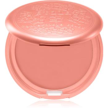 Stila Cosmetics Convertible Color multifunkčné líčidlo na pery a tvár Gerbera